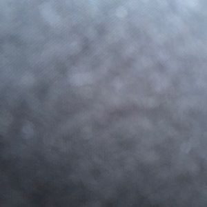 Meet your Posher, Arianna